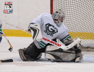 Sims in Goal