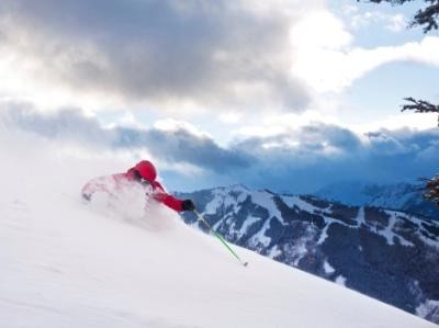 skier